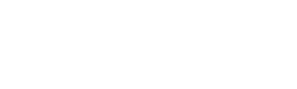 Research Ethics Working Group